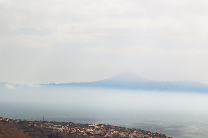 Full-day Bus Tour to La Gomera Island with Professional Guide - Garajonay National Park: the Atlantic cloud forest break you will remember