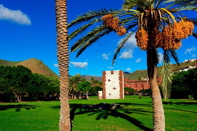 Full-day Bus Tour to La Gomera Island with Professional Guide - Getting from Tenerife: pickup, meeting point, and the ID rule