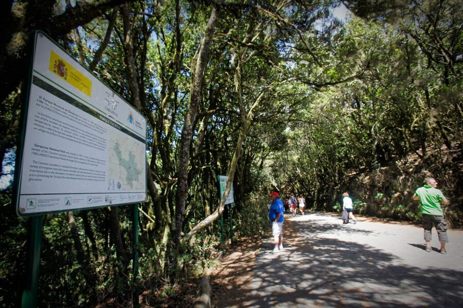 Full-Day Gomera Jeep Safari Excursion from Arona - Key highlights you will actually feel during the day