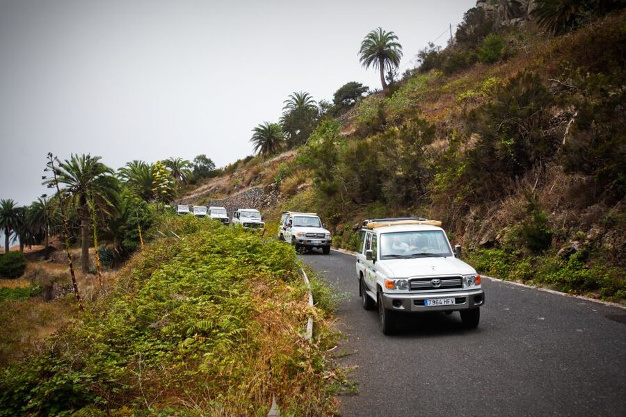 Full-Day Gomera Jeep Safari Excursion from Arona - Silbo Gomero, the whistled language: a cultural moment that lands