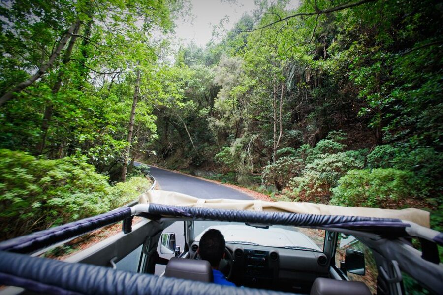 Full-Day Gomera Jeep Safari Excursion from Arona - What it feels like in real life: organization, language, and a few practical warnings