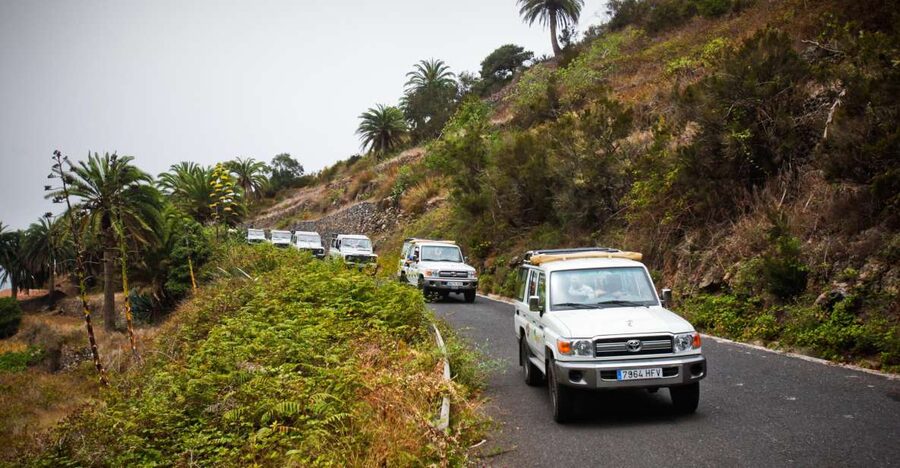 Full-Day Gomera Jeep Safari Excursion from Arona - Garajonay National Park: the UNESCO stop that changes how you see the island