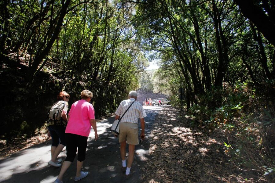 Full-Day Gomera Jeep Safari from Puerto de La Cruz - Silbo Gomero at the meal: culture you can watch