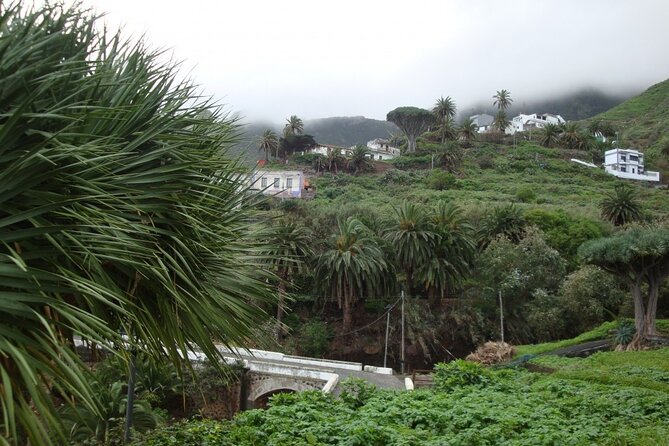 Full Day Tour of Santa Cruz and San Cristóbal de La Laguna - A Day That Ranges From Port Streets to Anaga’s Winding Roads
