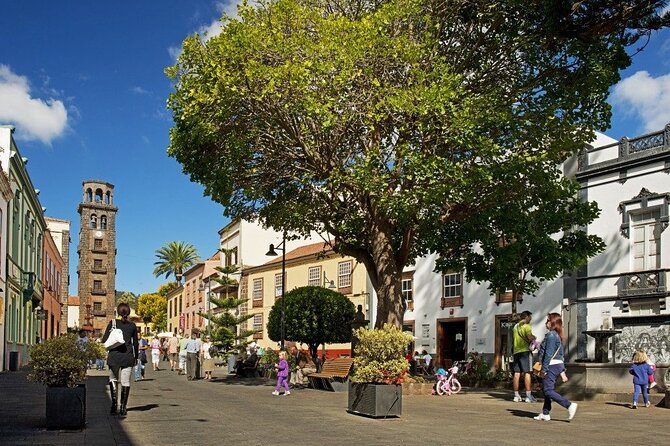 Full Day Tour of Santa Cruz and San Cristóbal de La Laguna - Pickup, Timing, and How the Free Time Fits