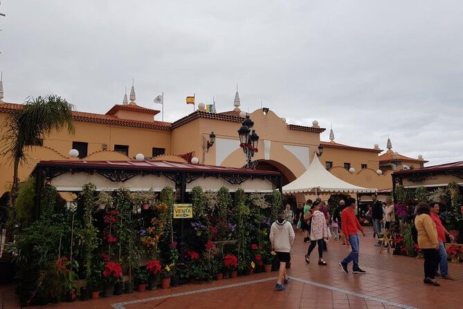 Full Day Tour of Santa Cruz and San Cristóbal de La Laguna - Price and Value at $66.23, Plus What You Pay Extra For