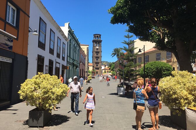 Full day tour visiting Santa Cruz, La Laguna and Anaga - The guide and driver: why their style matters on the north roads
