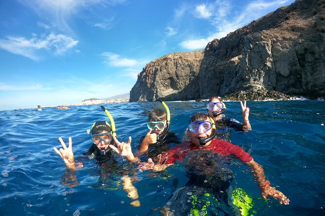 Fun Dive With Scuba Point in Los Cristianos - Choosing the Underwater Spot: Why Conditions Drive the Plan