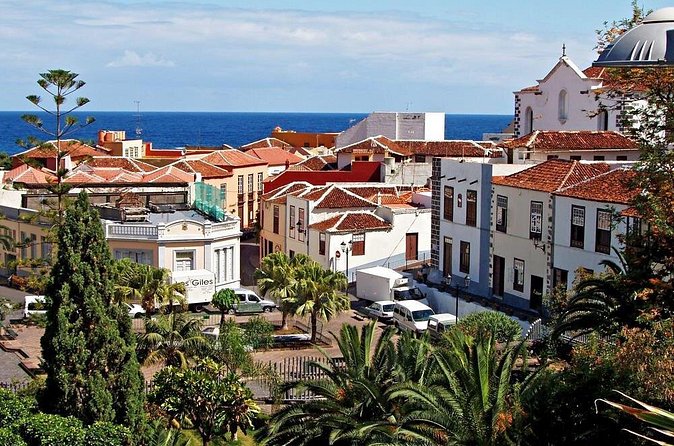 Go West - VIP Private Tour in Tenerife to Masca, Garachico and Icod - Stop 5: Garachico, the lava story called Pompeii of Tenerife