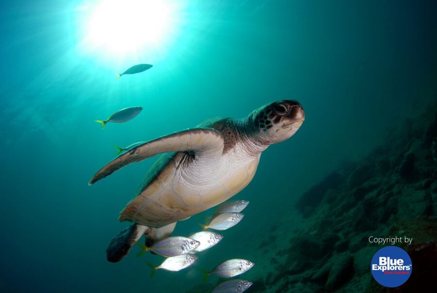 Gran Canaria Scuba Diving for Certified Divers - Gear and clothing you should pack for a smoother day