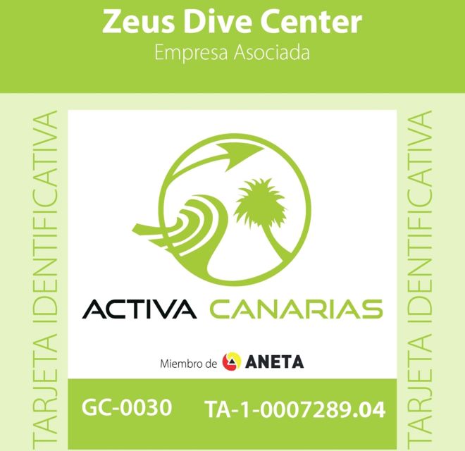 Gran Canaria Scuba Diving for Certified Divers - Shore sessions around Gran Canaria’s volcanic underwater world