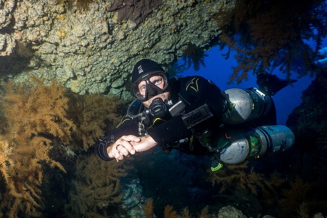 Guided Boat Dives for Certified Divers - Underwater site variety around Tenerife, and what to look for