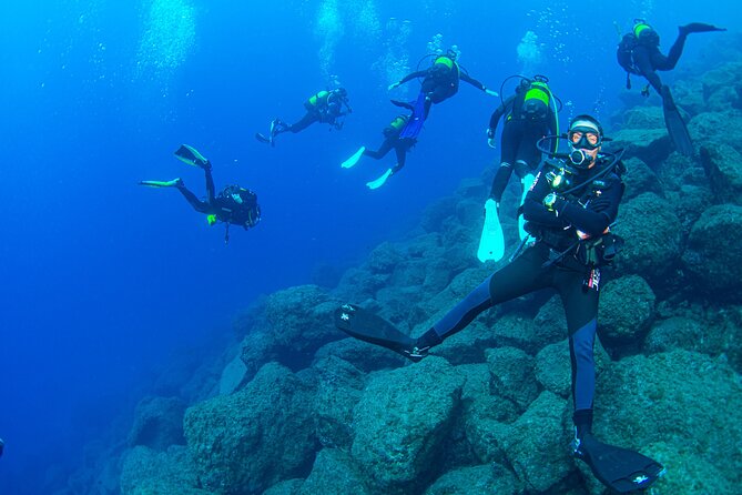 Guided Immersion from Santa Cruz de Tenerife - Radazul Bay in Tenerife: the close-to-the-center advantage