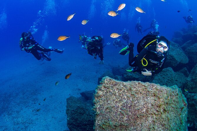 Guided Immersion from Santa Cruz de Tenerife - The 3-hour plan, hour by hour, from briefing to videos
