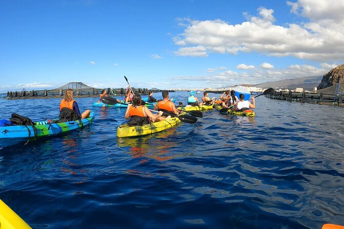 Guided Kayak Tour From Los Cristianos Beach Tenerife - Key highlights worth knowing