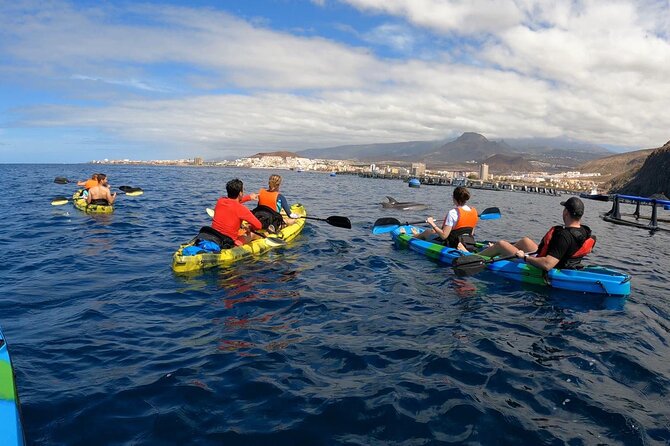 Guided Kayak Tour From Los Cristianos Beach Tenerife - Guides who set the tone: Iveta’s style, safety, and photo help