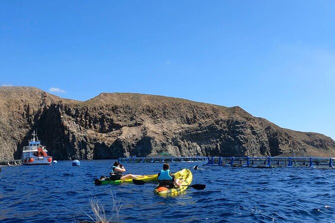 Guided Kayak Tour From Los Cristianos Beach Tenerife - Timing choice: 9:30 versus 12:30 and why being early can pay off
