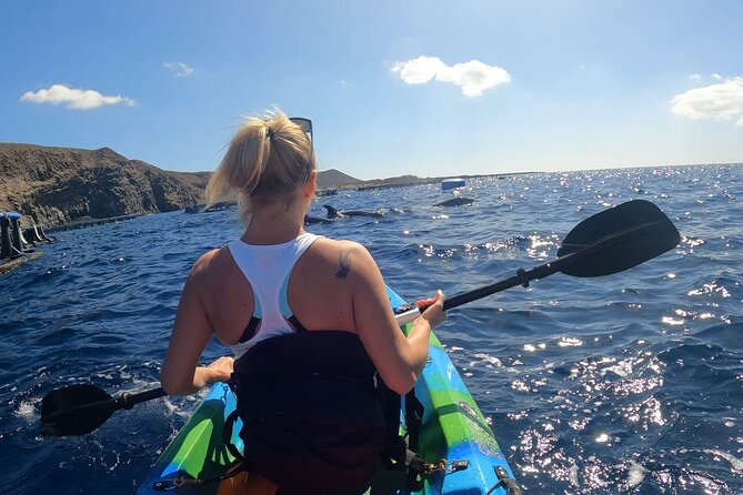 Guided Kayak Tour From Los Cristianos Beach Tenerife - Price and value at about $54.44: what you’re really paying for