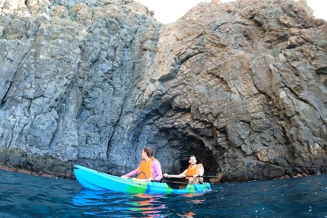 Guided Kayak Tour From Los Cristianos Beach Tenerife - The fish-farm kayak route: turtles, dolphins, and why the “no chase” rule helps