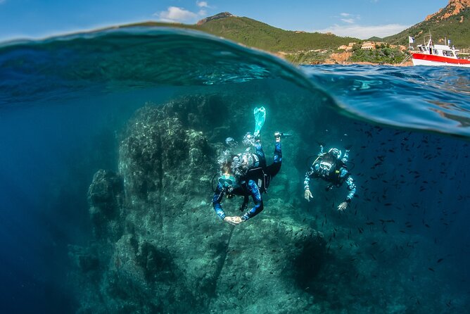 guided Scuba Diving on Tenerife (for certified divers) - Meeting at Scubanana in Puerto Deportivo, what to know before you go