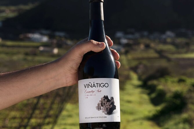 Guided Tour with 6 Wine Tasting - Terrace stage: seeing wine making steps in real space