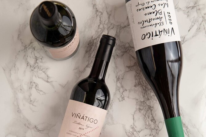Guided Tour with 6 Wine Tasting - Who should book this Viñátigo tour