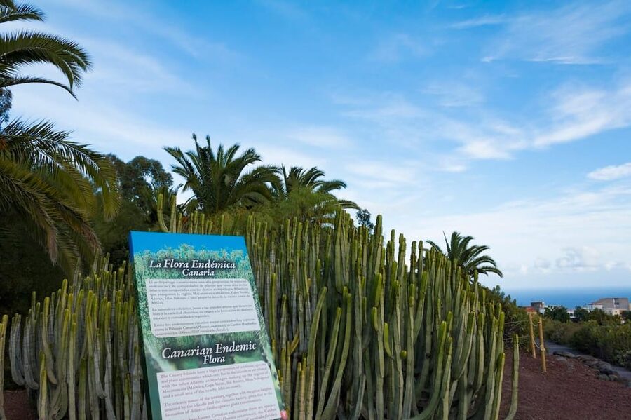 Guïmar: Pyramids of Güímar Ethnographic Park Entry Ticket - The Museum: A Helpful Bridge Between Mystery and Context
