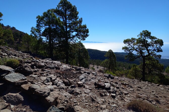 Hiking in Tenerife's Great Outdoors - The Teide Area Stop: What You Will Be Seeing Along the Way