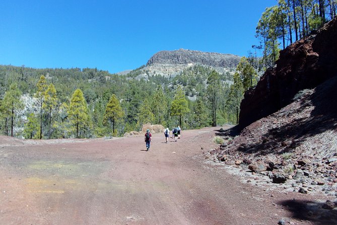 Hiking in Tenerife's Great Outdoors - Gear and Fitness: Plan for a Real Trail, Not a Flat Walk