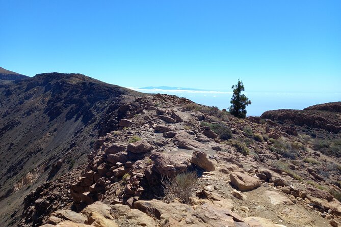 Hiking in Tenerife's Great Outdoors - Value for $72.59: What You Are Really Paying For