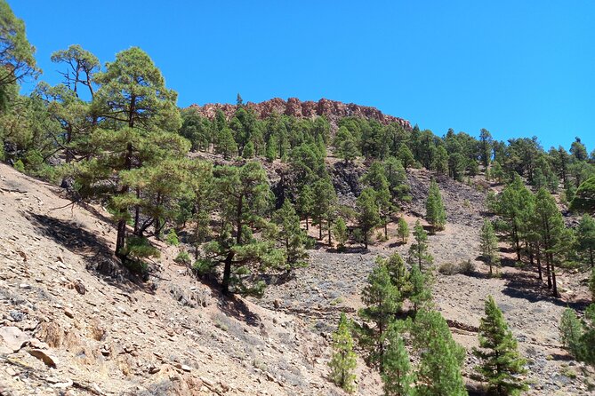 Hiking in Tenerife's Great Outdoors - Is This the Right Hike for You?