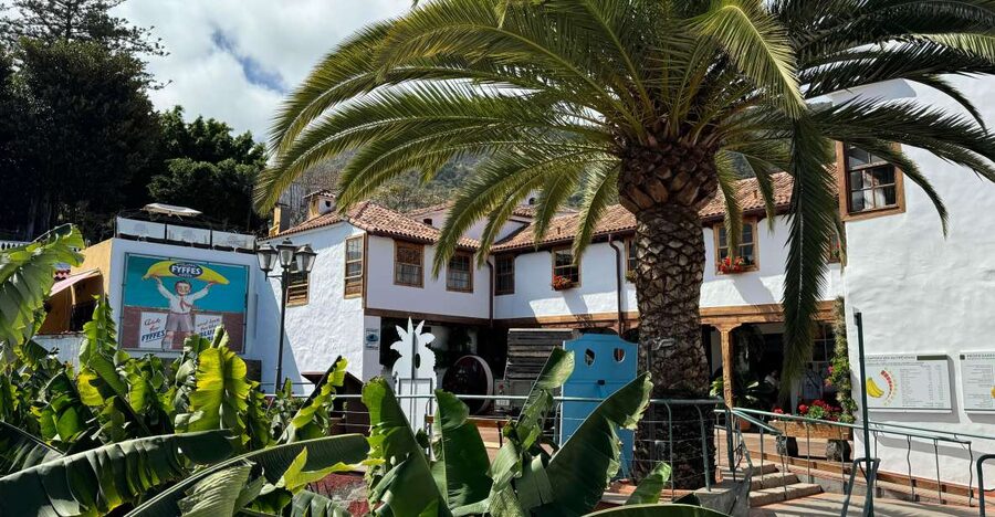 Icod de los Vinos: Casa del Plátano Entry Ticket - Key highlights at a glance