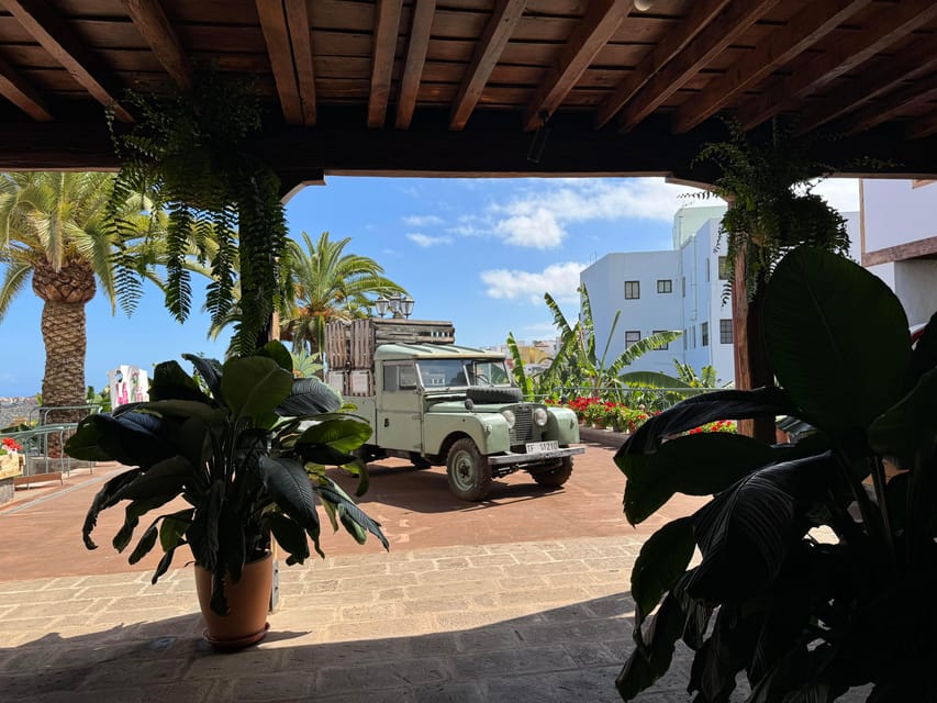 Icod de los Vinos: Casa del Plátano Entry Ticket - Banana growth and ripening stages: what to look for on the plantation walk