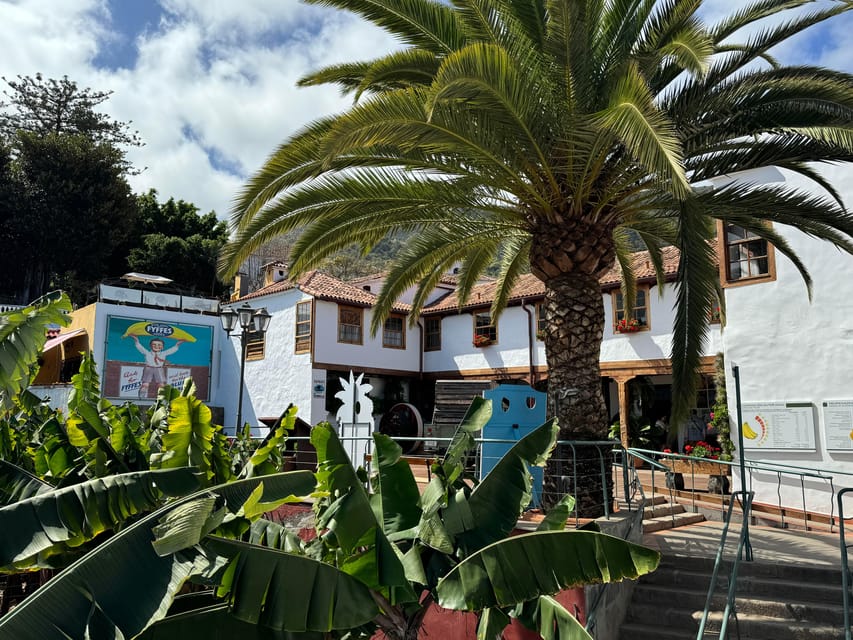 Icod de los Vinos: Casa del Plátano Entry Ticket - Timing and practical tips for a smooth visit