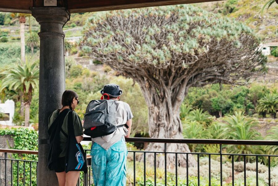 Icod de los Vinos: Dragon Tree & Botanical Garden Ticket - Timing, duration, and how to set expectations