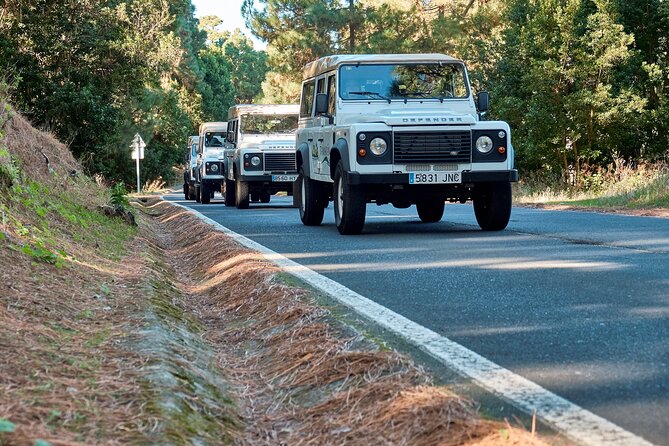 Jeep Safari at Half Day Teide - Jeep safari style: comfort, photo time, and family-friendly energy