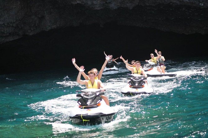 Jet Ski Safari South Tenerife - Wildlife chances: dolphins, whales, and turtles