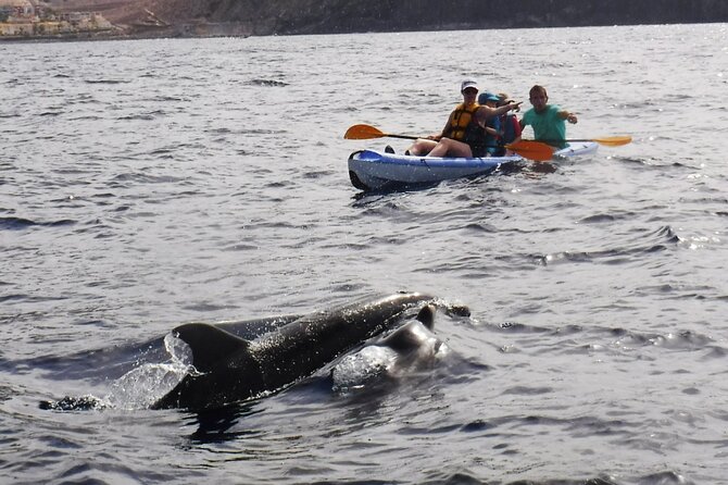 Kayak Route along the Volcanic Coast in Tenerife South with Snorkeling - Packing tips that keep you comfortable and un-stressed