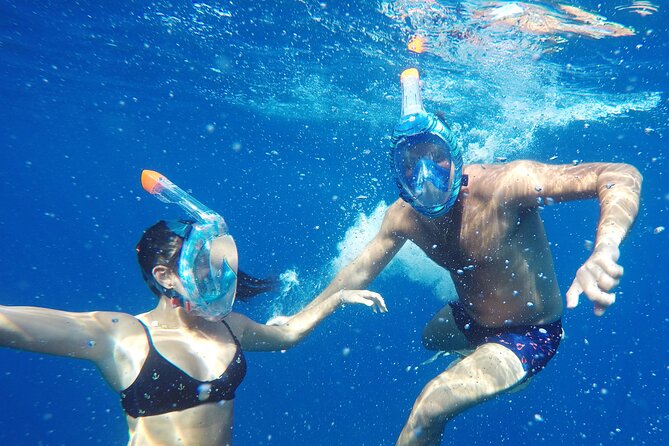 Kayak Route along the Volcanic Coast in Tenerife South with Snorkeling - Price and what you truly get for about $54