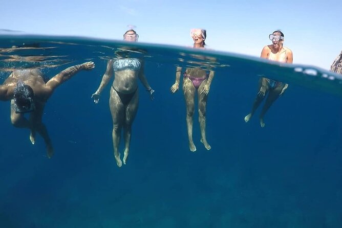 Kayak Safari with Dolphin and Turtle Watching in Guaza - Snorkeling gear included: what to expect under the water