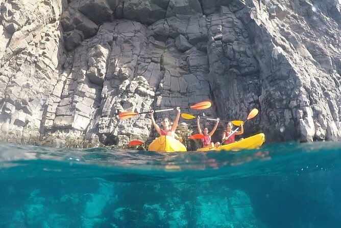 Kayak Safari with Dolphin and Turtle Watching in Guaza - How the 3-hour flow feels, from Los Cristianos to the water