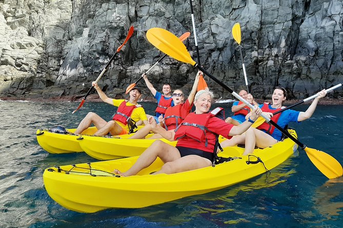 Kayak with Dolphin & Turtle Watching Private Tour - Key things to prioritize before you book