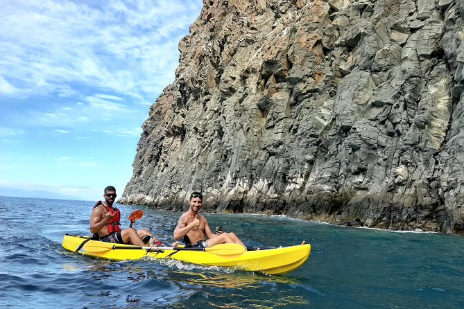 Kayak with Dolphin & Turtle Watching Private Tour - Tenerife kayak wildlife: why this stretch of coast is the real draw