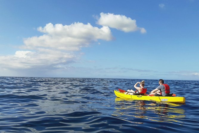 Kayak with Dolphin & Turtle Watching Private Tour - Snorkeling at Palmar cave: what gear you get and what to expect
