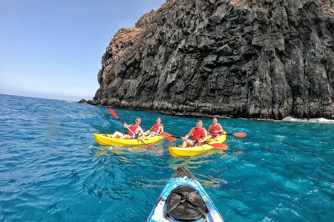 Kayak with Dolphin & Turtle Watching Private Tour - Practical tips so you feel great on the water