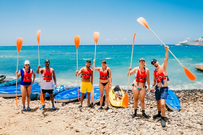 Kayaking + snorkeling with turtles - Dolphins and Other Sea Life: When the Ocean Cooperates