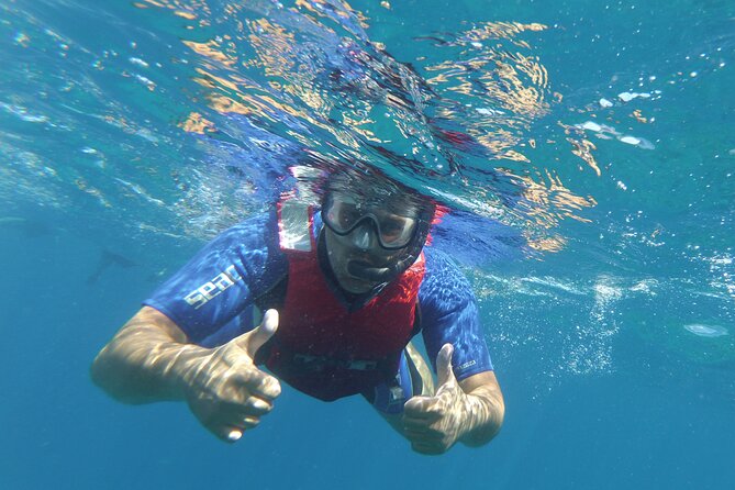 Kayaking + snorkeling with turtles - Price and Value: Is $54 Worth Two Hours?