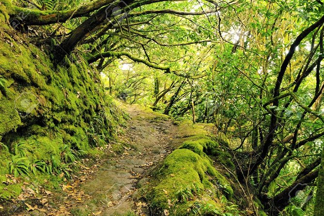 La Gomera Day Trip from Tenerife - Roque de Agando: the emblematic rock and the witch-lore stop