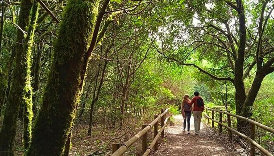 La Gomera Vip Experience - How the Tenerife to La Gomera Day Trip Really Feels