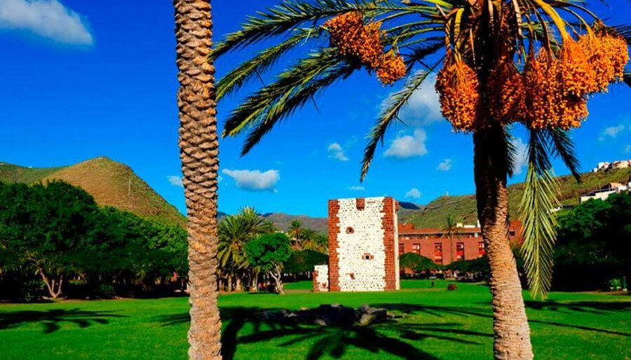 La Gomera Vip Experience - Garajonay National Park: Mossy Laurel and Hardwood Forest Time